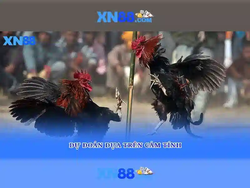 xn88 đăng nhập: Trải nghiệm an toàn và đột phá gaming