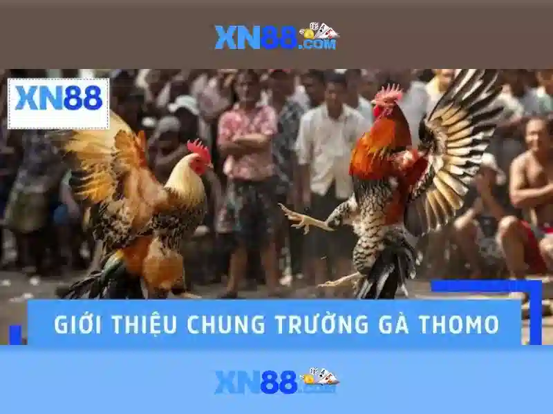 Nguồn gốc và sứ mệnh