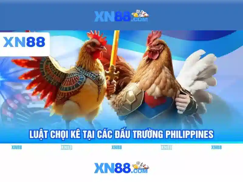 Trải nghiệm người dùng và cộng đồng