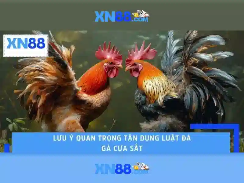 Lịch sử và nguồn gốc của XN88