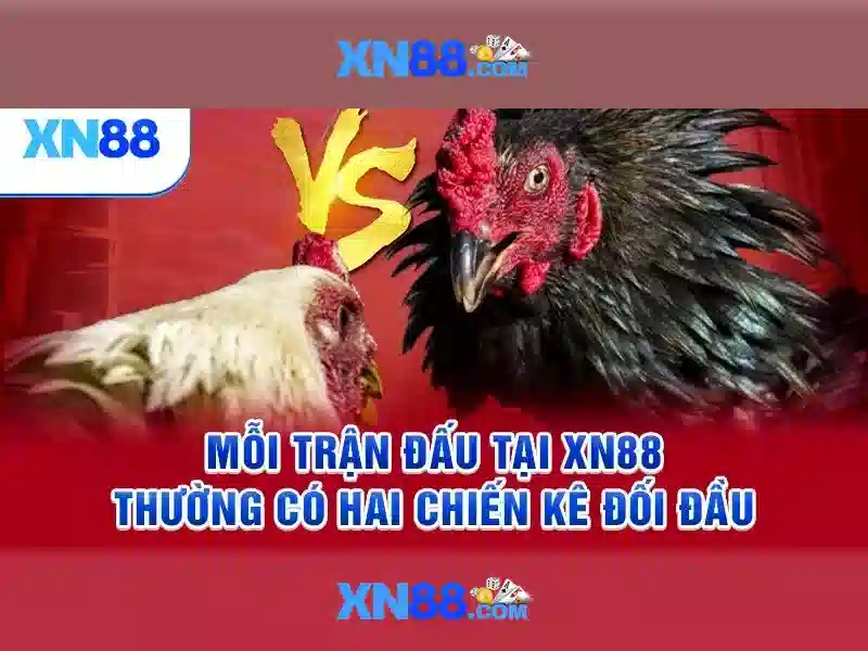Các dịch vụ nổi bật của xn88