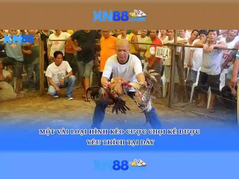 Làm thế nào để bắt đầu