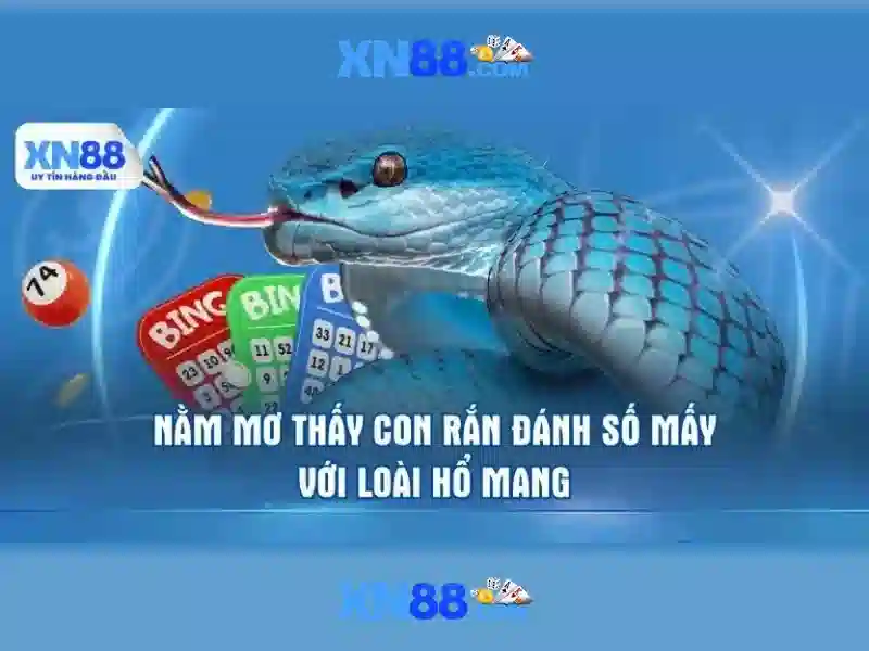 xn88: Giới thiệu và hướng dẫn sử dụng
