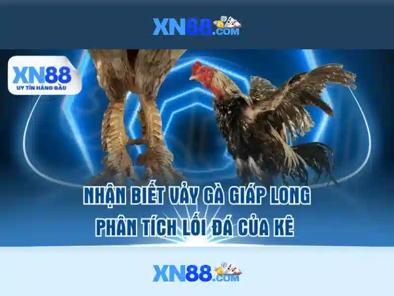 xn88 bet vip – Trải nghiệm đỉnh cao cùng app xn88