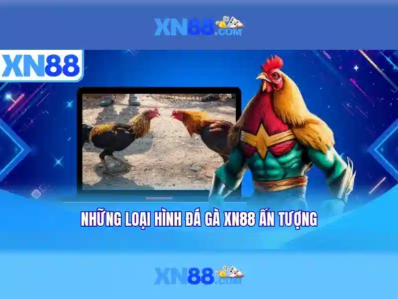 Tính năng chính