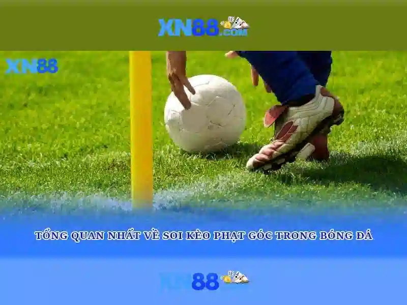 Bảo mật và quyền riêng tư