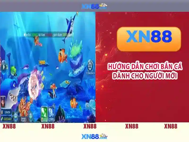 XN88 – Nền tảng giải trí trực tuyến và đánh giá tổng quan