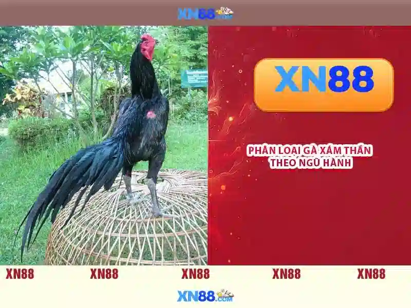 xn88: Tổng quan về nền tảng cược trực tuyến và cộng đồng người chơi