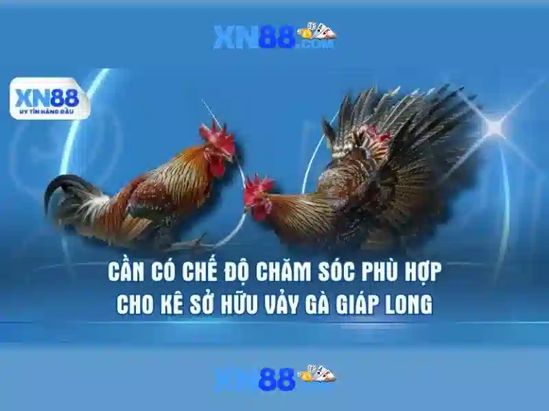 Ý nghĩa và tiềm năng tương lai