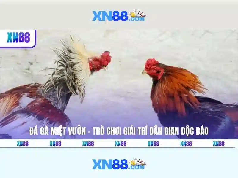 xn88 là gì và tại sao được nhiều người Việt quan tâm