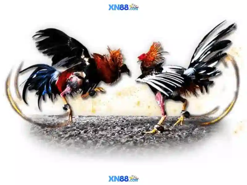Tổng quan về xn88: nền tảng game trực tuyến nổi bật