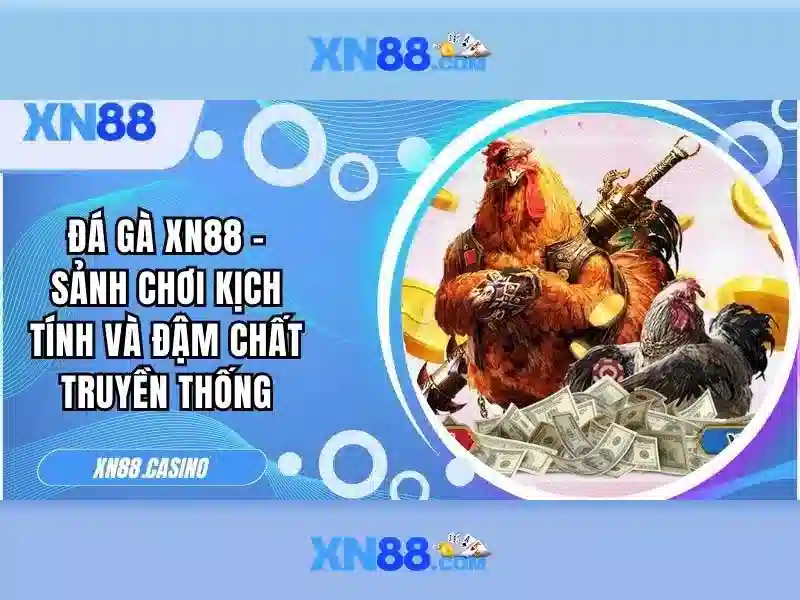 xn88 . com – Trải nghiệm an toàn và thấu hiểu người chơi