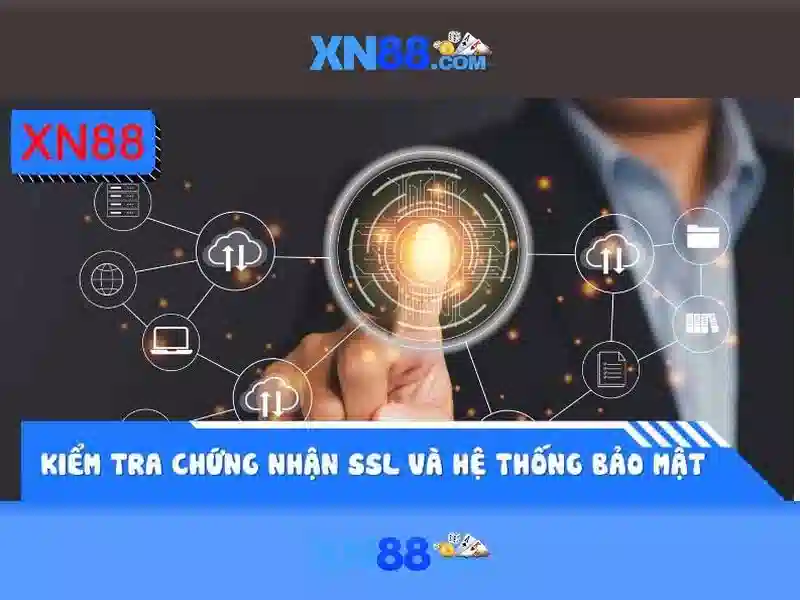 Trải nghiệm người dùng