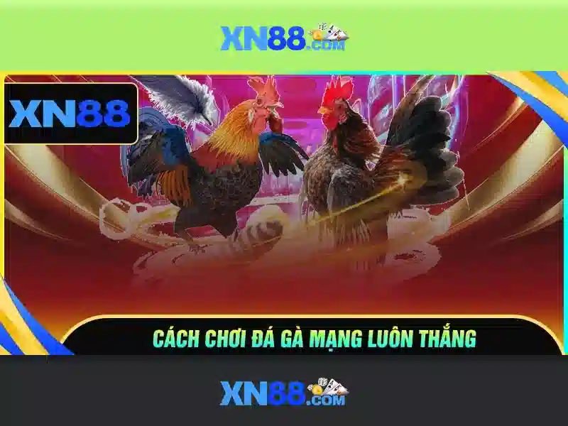 Giới thiệu về xn88