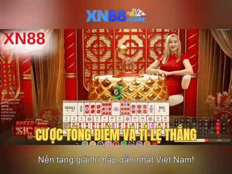 Hướng dẫn sử dụng cơ bản