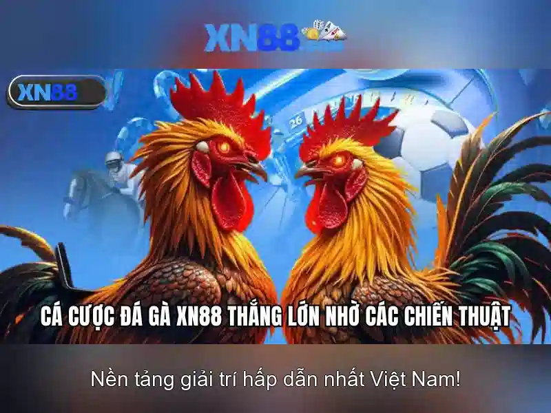 xn88: Giới thiệu và đánh giá tổng quan