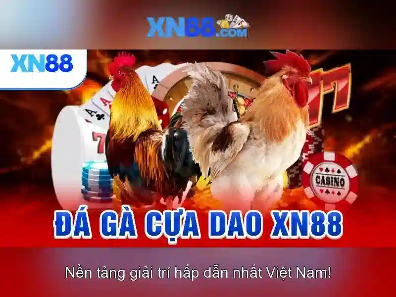 Các tính năng của Xn88