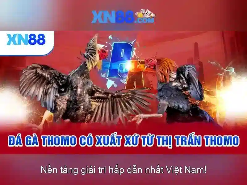 Các tính năng của xn88