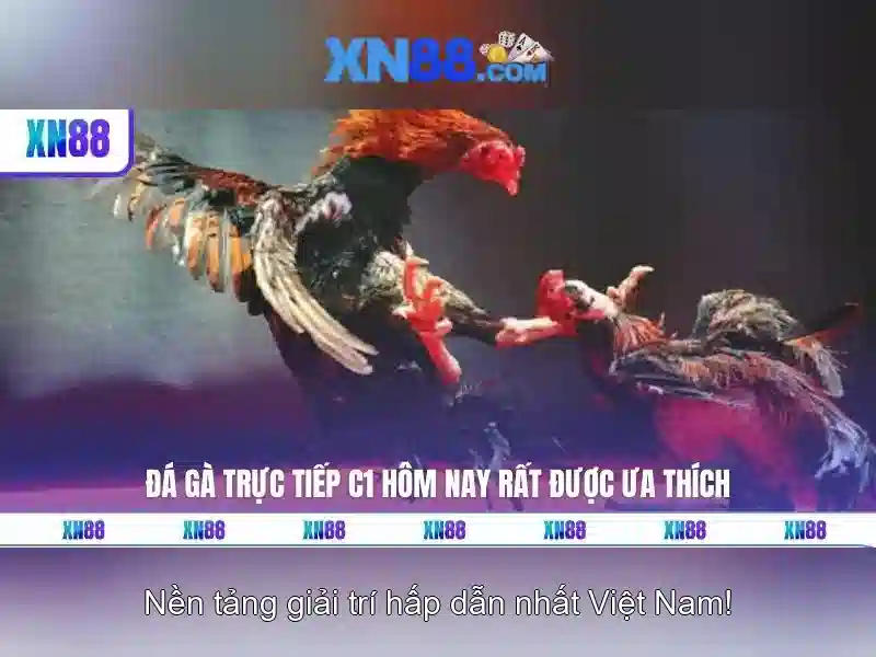 XN88: Nền tảng công nghệ và cơ hội số