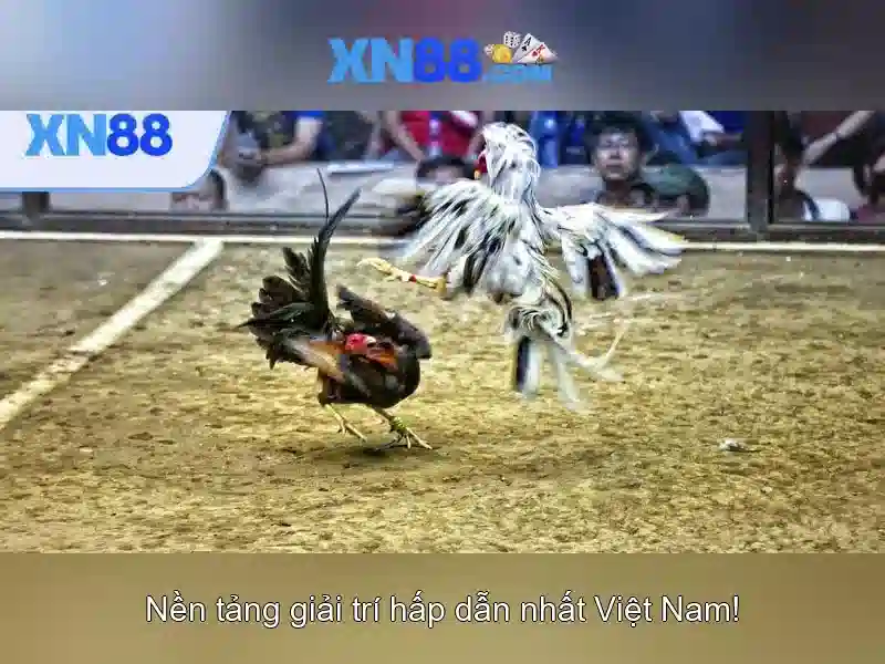 XN88: Nền tảng công nghệ và giải trí hiện đại