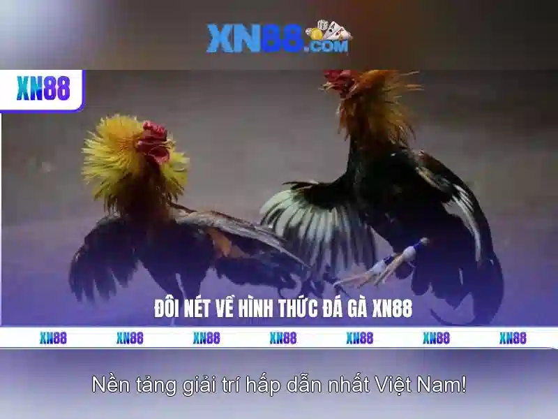 Các tính năng cốt lõi của XN88