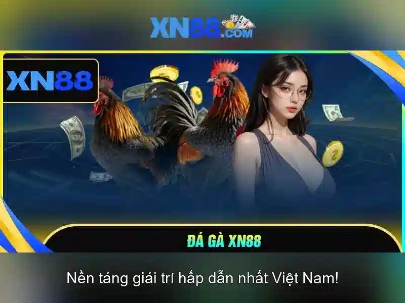 xn88: Tổng quan về nền tảng chơi trực tuyến