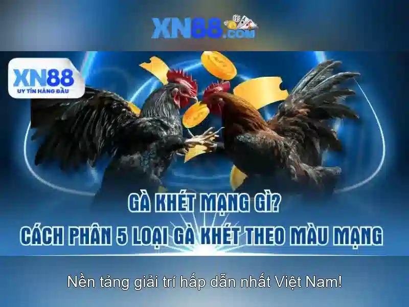 xn88: Nền tảng trò chơi trực tuyến và sự nổi lên