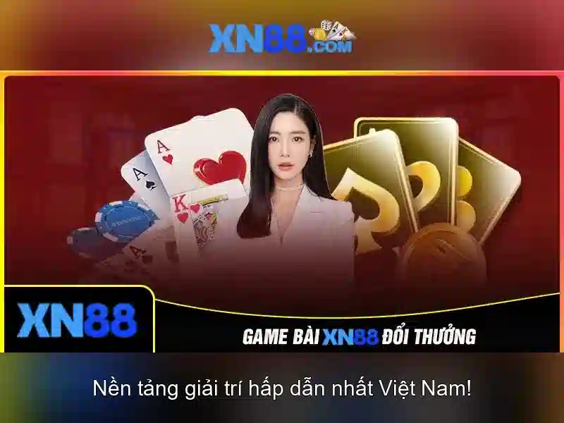 Hỗ trợ người dùng