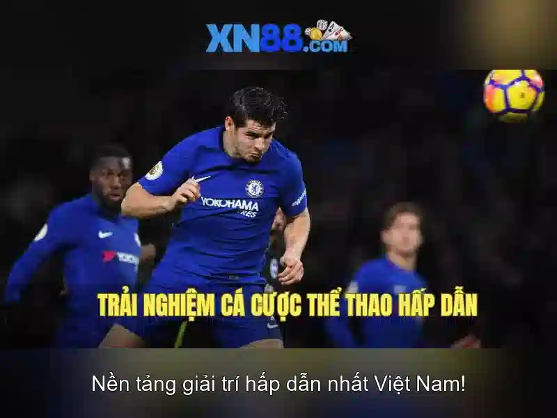Nội dung và sản phẩm được cung cấp