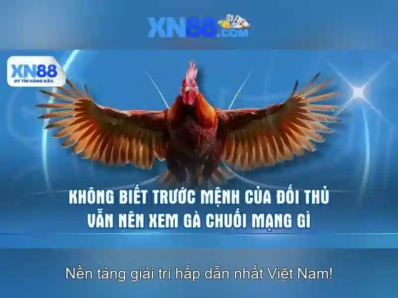 Xn88: Nen tang giai tri truc tuyen