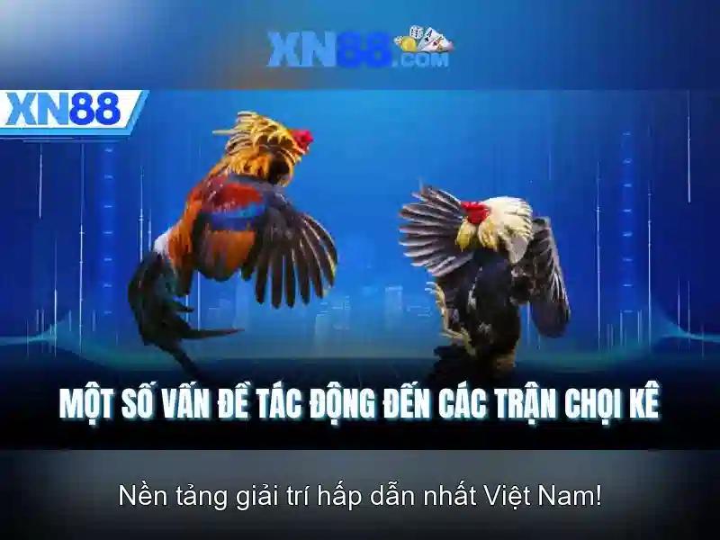 xn88: Nền tảng trực tuyến và các tính năng