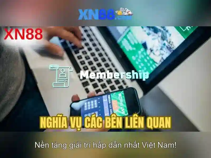 Nền tảng và trải nghiệm người dùng