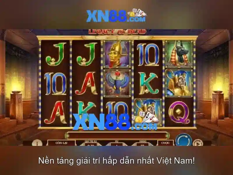 Xn88 - Tổng quan về nền tảng cược trực tuyến