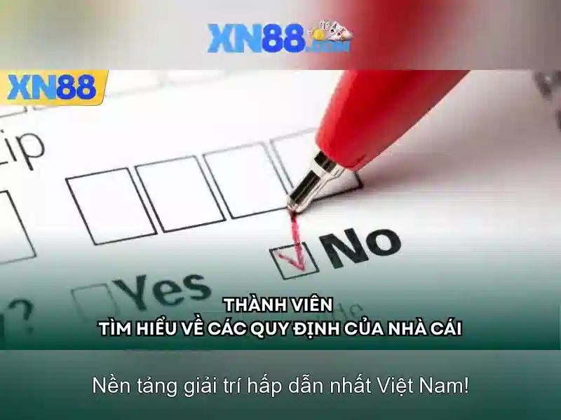 xn88 c – Trải nghiệm xn88 c và chiến lược thương hiệu