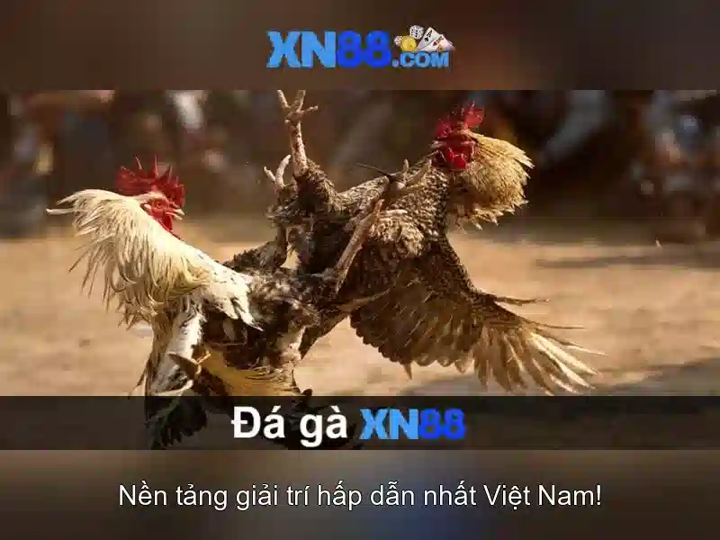 An toàn và bảo mật trên xn88