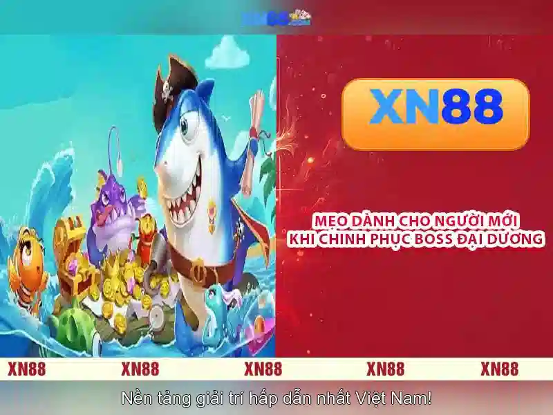 Giới thiệu về xn88