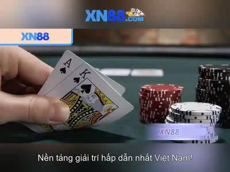 Chất lượng giao diện và trải nghiệm người dùng